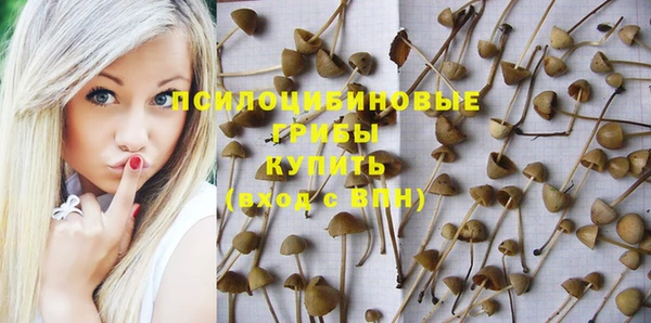 2c-b Алексеевка