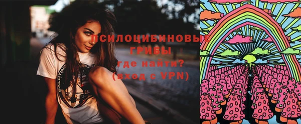 не бодяженный Алексин