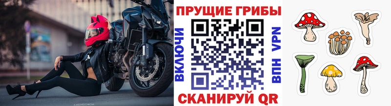 Галлюциногенные грибы Cubensis купить наркотик Ардон